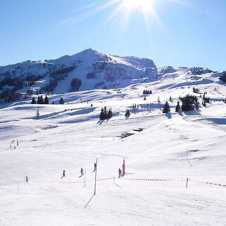 Ferienwohnung Blick Auf Die Berge Pidingerau Экстерьер фото